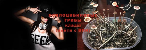 соль ск Горнозаводск