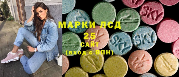 Альфа ПВП Горняк