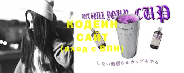 соль ск Горнозаводск