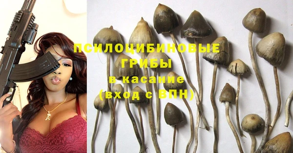 Альфа ПВП Горняк