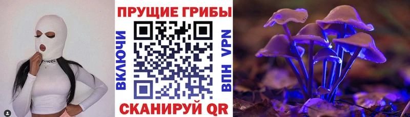 hydra онион  Губкин  Псилоцибиновые грибы MAGIC MUSHROOMS 